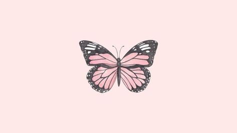 contact me for anything you like --> banana.danle10@gmail.com Butterfly Desktop Wallpaper, Laptop Wallpaper Desktop Wallpapers, Butterfly Background, Mac Wallpaper, Laptop Screen, Cute Butterfly, Butterfly Wallpaper, Laptop Wallpaper, Pink Butterfly