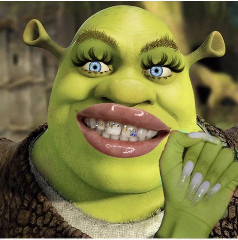 Shrek Pics, Material Girl Funny, Shrek Pictures, Baddie Shrek, Preppy Baddie, Shrek Funny, Lord Farquaad, Fairy Room, Simpsons Drawings