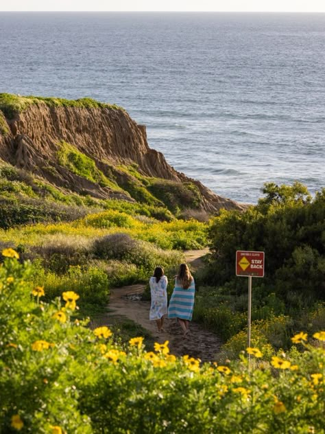 Byu Hawaii, University Of California San Diego, Surf Room, Zoey 101, California San Diego, Sunset Cliffs, Spring Semester, College Dorms, Point Loma