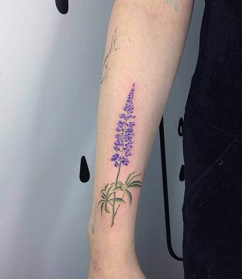 Lupine Tattoo, Spontaneous Tattoo, Lupin Flower, Alaska Tattoo, Watermelon Tattoo, Bouquet Tattoo, Wonderland Tattoo, Weird Tattoos, Botanical Tattoo