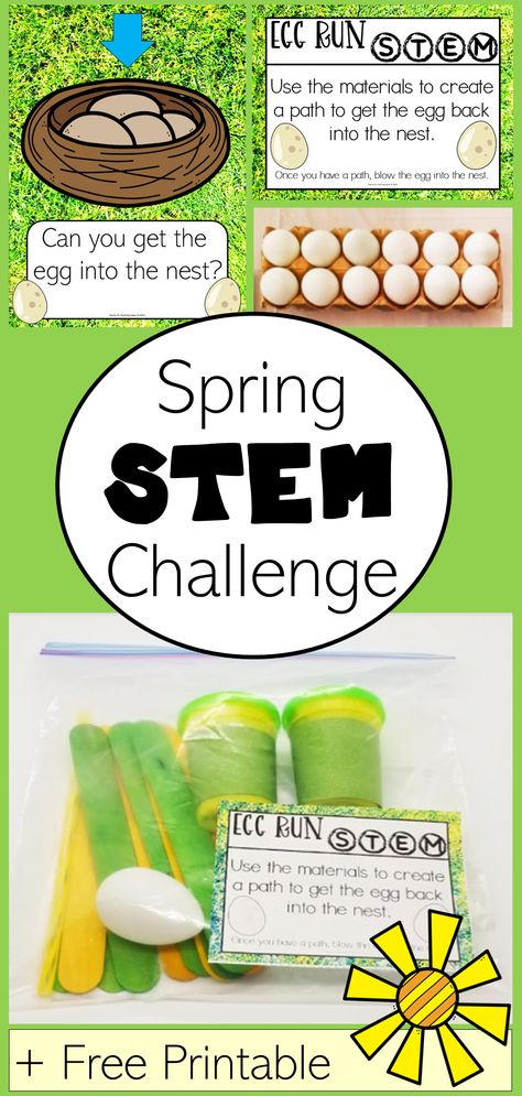 The pin shows a picture of a printable that says, "Can you get the egg into the nest?" and "Egg run STEM Use the materials to create a path to get the egg back into the nest" and a carton of eggs and a bag with play dough, egg and popsicle sticks. Kindergarten Stem Challenges, Easter Stem Challenge, Steam Activities Elementary, Simple Stem Challenges, Spring Stem Activities, Stem Challenges Elementary, Simple Stem Activities, Easter Stem, Spring Stem