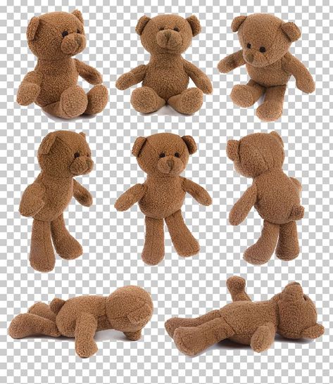 Teddy Bear Reference, Teddy Bear Illustration, Png Bear, Teddy Bear Png, Child Free, Stuffed Bear, Teddy Bear Toys, Bear Bear, Skate Art