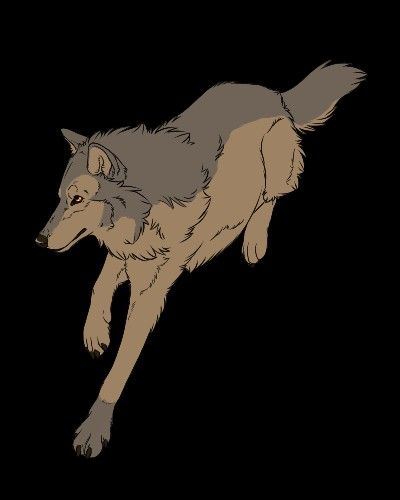 Wolf landing Wolf Jumping, Canine Drawing, Wolf Drawing, Anime Wolf, Future Tattoos, Art Reference, Moose Art, Character Art, Sketch Book