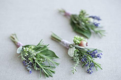 How to  make herb boutonnieres on Once Wed Diy Boutonniere Wedding, Herb Centerpieces, Lavender Boutonniere, Herb Wedding, Diy Boutonniere, Fresh Wedding Flowers, Have Inspiration, Fall Wedding Bouquets, Boutonniere Wedding