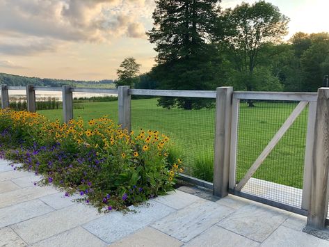 Artemis Landscape Architects Pool Fencing Landscaping, Fence Around Pool, Suburban Landscape, Deck Railing Ideas, Country Fences, Farm Gate, Railing Ideas, Landscape Inspiration, Corner Bench