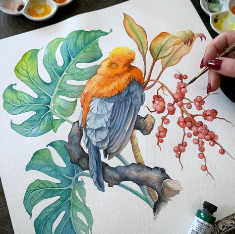 ANNA 🌺 BUCCIARELLI (@anna.m.bucciarelli) • Instagram photos and videos Contemporary Botanical Art, Back At Work, Watercolor Paintings For Beginners, Instagram Tutorial, Watercolor Art Lessons, Seashell Art, Animal Sketches, Art Paint, Botanical Art