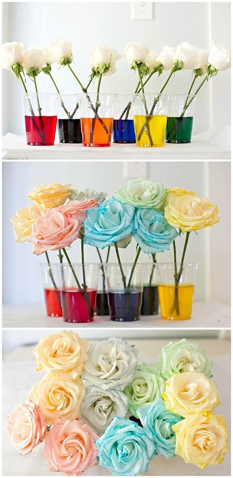 How to dye rainbow flowers. Fun experiment for kids! Science Party Decorations, Fun Experiments For Kids, Experiment For Kids, Dye Flowers, Kid Science, Science Party, Science Activities For Kids, Fair Projects, Rainbow Roses