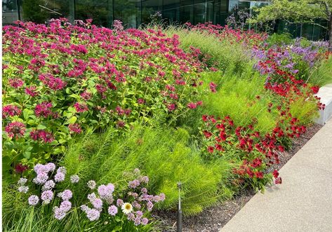 The Dallas Garden School | Gardening Classes Daltile Garden Spot, School Grounds Design Landscapes, Dallas Botanical Gardens, Dallas Garden, Garden School, Site Analysis, Video Course, North Texas, Good Design