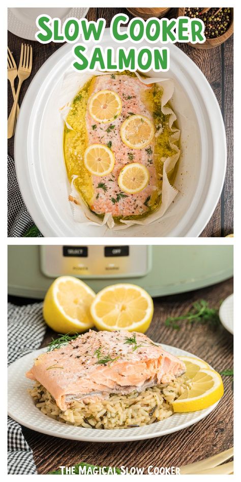 Slow Cooker Salmon Recipes, Salmon Crockpot Recipes, Crockpot Fish, Crockpot Seafood, Crockpot Salmon, Cook Frozen Salmon, Can Cooker, Salmon Casserole, Slow Cooker Salmon