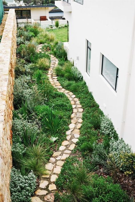 2025 Landscaping Trends to Watch: Wellness Gardens & More Fynbos Garden Landscaping, East Coast Garden, Fynbos Garden Ideas, Portuguese Garden Ideas, Rewilding Garden, Fynbos Garden, Protea Garden, Native Garden Design, African Garden