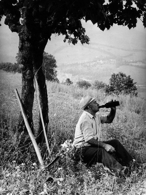 Read the full story at Italy Segreta written by Gabriela R. Proietti Italian Photography, Old Farmer, Nostalgic Pictures, Old Photography, Drinking Wine, Bw Photography, Italian Culture, Vintage Italy, Vintage Farm