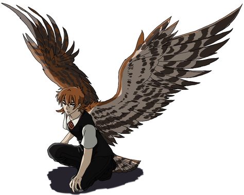 #harrypotter #themarauders #oc #supernatural #harpy Bird Human Hybrid Female, Owl Hybrid Human, Avian Oc, Harpy Oc, Maximum Ride, Snow Owl, Cute Emo, Dnd Art, Creepy Art