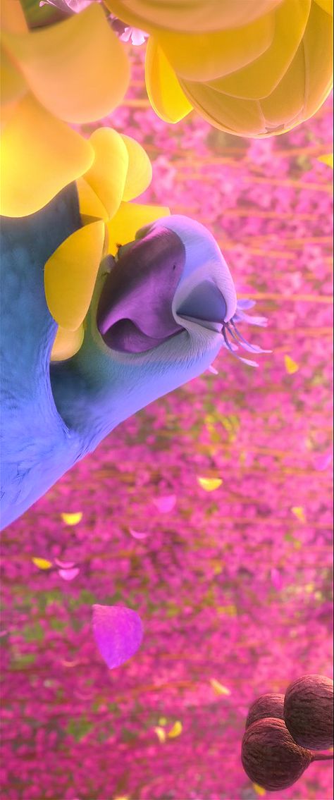 RIO2 - Perla Rio Wallpaper Aesthetic, Rio Aesthetic Movie, Rio Movie Aesthetic, Rio Movie Wallpapers, Rio Jewel, Rio Wallpaper, Disneyland Images, Rio Movie, Rio 2