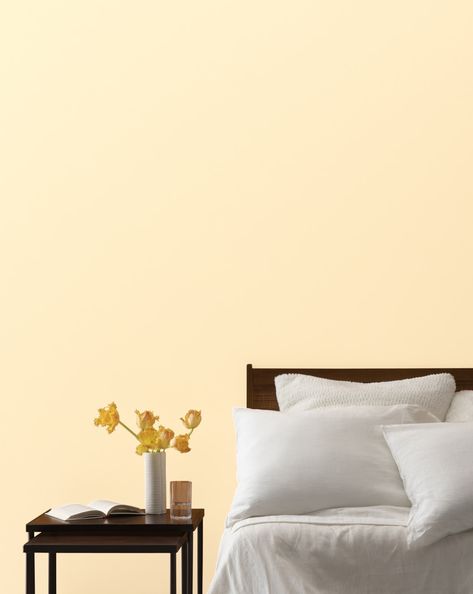 Like the spring-flowering bulb, this light yellow-orange is dependably sunny and soothing. Paint Color Swatches, Benjamin Moore White, Paint Colors Benjamin Moore, Benjamin Moore Colors, Orange Paint, Simply White, Color Swatch, Make Color, Sweet Orange