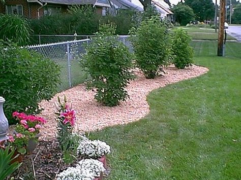 Chain Link Fence Landscaping Ideas | landscape along chain link fence                                                                                                                                                                                 More Chain Link Fence Landscaping, Fence Lattice, Fence Landscaping Ideas, Fence Murals, Lattice Ideas, Fence Photography, Fencing Design, Fence Modern, Backyard Fencing