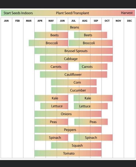 Zone 9 Planting Schedule, Gardening Schedule, Planting Spinach, Vegetable Planting Calendar, Broccoli And Brussel Sprouts, Planting Schedule, Vegetable Planting Guide, Vegetable Planting, I Heart Recipes