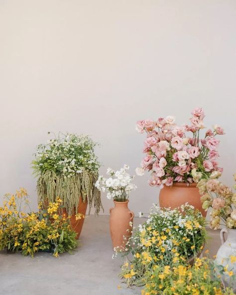 flower arrangement, flower pot and baby's-breath Flower Pot Wedding Decor, Potted Flowers Wedding Aisle, Wedding Signage Flowers, Flora Photoshoot, Wedding Flower Pots, Single Flower Arrangements, Flower Pots Wedding, Backdrop Inspiration, Floral Portfolio