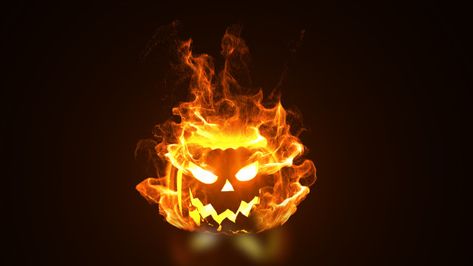 Head On Fire, Curled Blonde Hair, Halloween Pumpkin Head, Halloween Borders, Jack Lantern, Photo Halloween, Photo Party, Fire Hair, Halloween Scarecrow