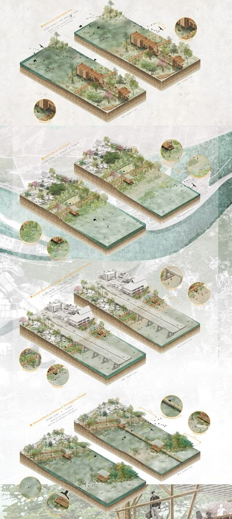 Axonometric Landscape Architecture, Landscape Architecture Program Diagram, Architecture In Forest, Landscape Architecture Axonometric, Floodplain Architecture, Landscape Architecture Sections, River Architecture Concept, Vegetation Analysis, River Landscape Architecture