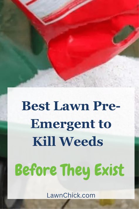 Once weeds have already grown on your lawn, they're a hassle to kill. That's why it's such a good idea to use a pre-emergent herbicide. It'll stop the weeds from germinating and growing in the first place! Check out this blog post to discover our recommendations for the best pre-emergent herbicides on the market. We make it easy to figure out which pre-emergent herbicide is the best choice for your lawn. Common Lawn Weeds, Lawn Weeds, Kill Weeds, Weeds In Lawn, Lawn Fertilizer, Liquid Fertilizer, Grass Seed, First Place, Lawn Care