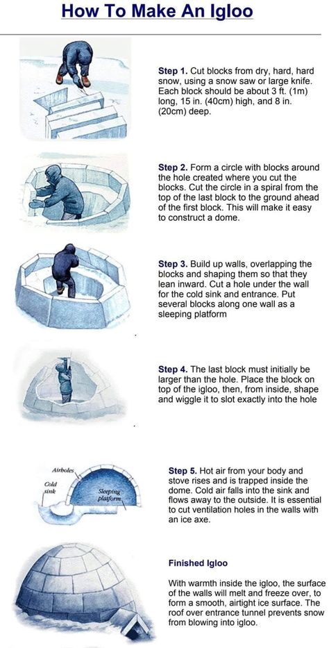 Build An Igloo, Igloo Building, Life Pro Tips, Turtle Pond, Backyard Fire Pit, Backyard Buildings, Dog Area, Smart Garden, Smart Home Design