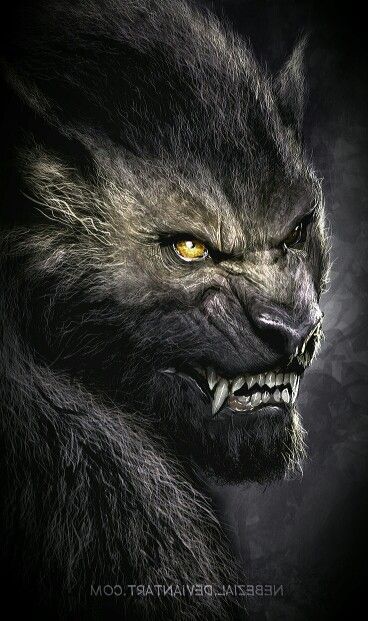 Werwolf Werewolf Art, Vampires And Werewolves, Creatures Of The Night, Mythological Creatures, Wolf Art, Mystical Creatures, Arte Fantasy, An Animal, Creature Design