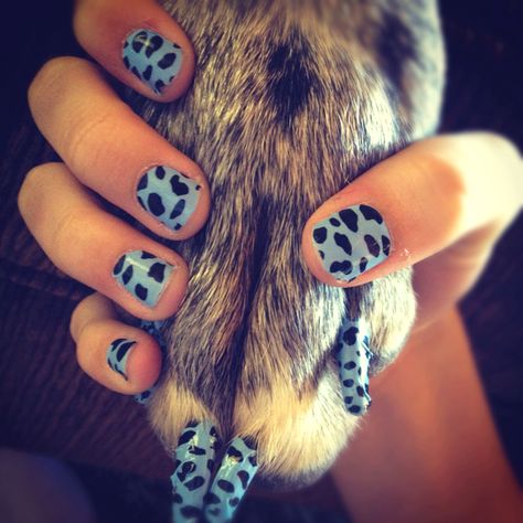 I used Sally Hansen's "Hear Me Roar!" Nail Strips on my nails and my puppy's nails. They're safe for dogs and super cute to match! Dog Nail Art, Business Tycoon, Creative Grooming, Sally Beauty Supply, Hear Me Roar, Poodle Grooming, Dog Haircuts, Grooming Style, Pedicure Designs