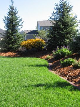 Berm for privacy Washington Landscape, Privacy Landscaping Backyard, Landscaping Shrubs, Privacy Landscaping, Backyard Privacy, Easy Landscaping, Garden Shrubs, Home Landscaping, Traditional Landscape