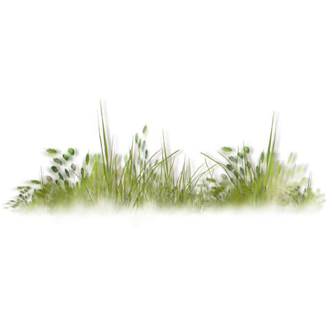 Grass Photoshop, Landscape Architecture Graphics, Texture Photoshop, Grass Plants, Photoshop Rendering, Tree Textures, Architecture Graphics, Photoshop Textures, Watercolor Trees