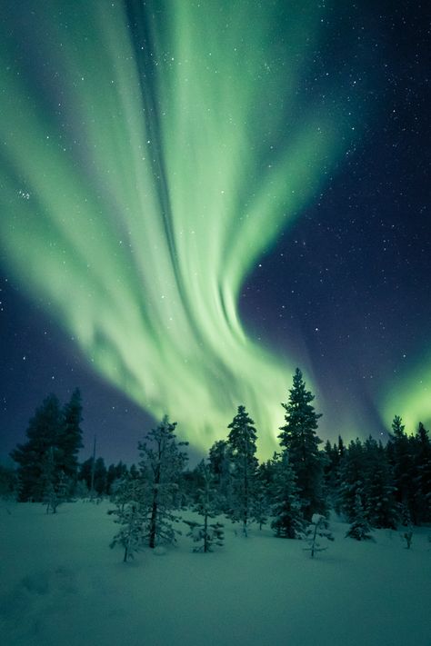 Aurora boreale, northern lights, Finland, Lapland Northern Lights In Finland, Aurora Borealis Lapland, Aurora Borealis Finland, Northern Lights Lapland, Finland Northern Lights, Northern Lights Finland, Finland Photography, Finland Lapland, Northern Lights Photography