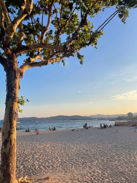 saint raphael | south of france | france | beach | tree | sand Saint Raphael, Saint Barts Aesthetic, Saint Raphael France, South France Beach, Province France Aesthetic, Saint Jean Cap Ferrat Beach, St Raphael, South Of France, Book Aesthetic