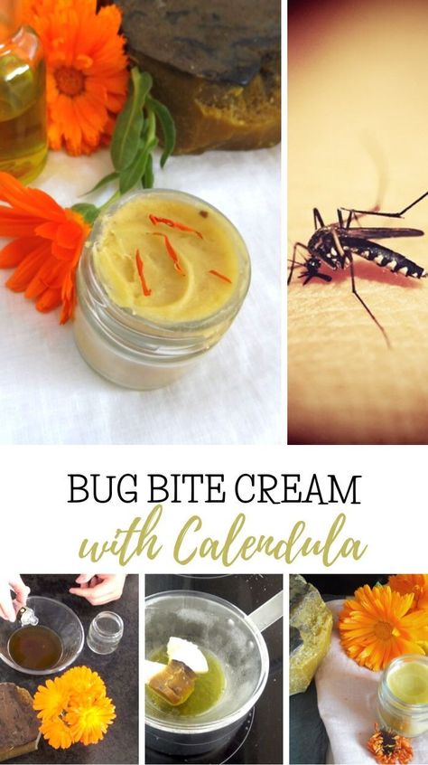 Calendula Recipes, Homemade Salve Recipes, Herbalist Garden, Herbal Diy, Itchy Bug Bites, Homemade Salve, Bug Bite, Calendula Benefits, Salve Recipes