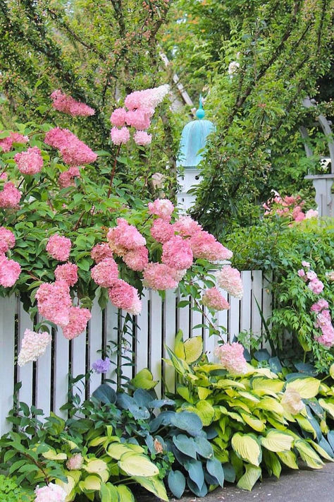 Discover the secrets to growing stunning Vanilla Strawberry Hydrangeas with our expert tips. Keep your garden blooming beautifully all season long. Click here for the full guide and save this must-have info! Vanilla Strawberry Hydrangea, Strawberry Hydrangea, Flowering Shrubs, Perennial Garden, Landscape Projects, My Garden, How To Grow, This Morning, Oh My