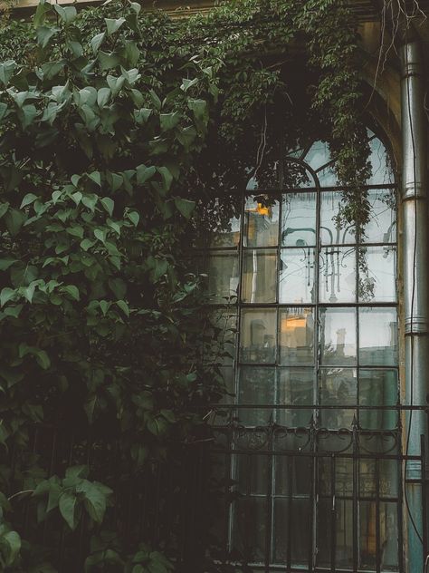 A window framed by foliage Film Green Aesthetic, Green Movie Aesthetic, Dark Window, Green Aesthetics, Dark Windows, Movie Poster Wall, Green Aesthetic, Movie Poster, Poster Wall