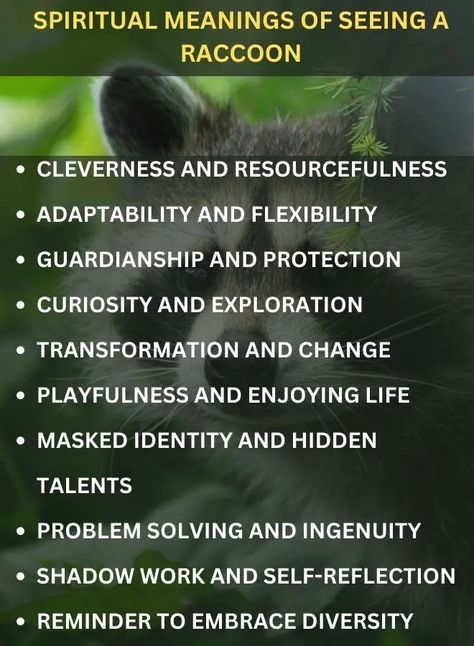 Raccoons, symbols of cleverness and adaptability, offer lessons in guardianship, curiosity, and transformation. Their playful nature reminds us to embrace hidden talents and navigate life’s challenges with ingenuity. Raccoon Spiritual Meaning, Raccoon Symbolism, Totem Animals, Animal Meanings, Angel Spirit, Hidden Talents, Animal Spirit Guides, Animal Spirit, Personal Transformation