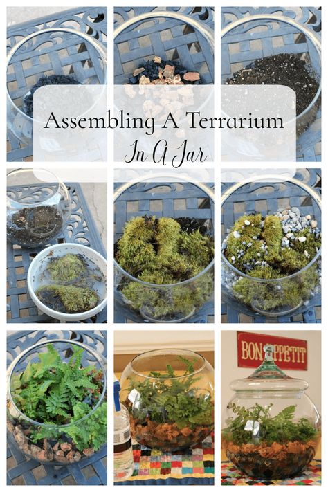 Assembling A Terrarium In A Jar Spooky Terrarium Diy, Terrarium Container Ideas, Glass Jar Terrarium Diy, Beginner Terrariums, How To Build A Terrarium, How To Make A Terrarium, Terrarium Ideas Diy, Closed Terrarium Ideas, Terrarium In A Jar