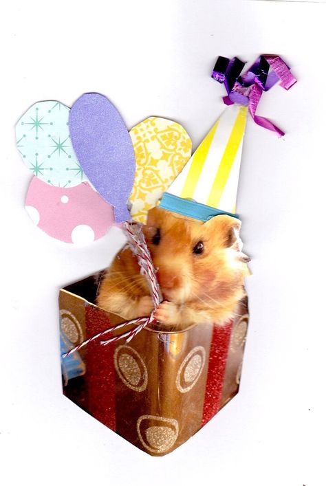 Hamster Party, Hamster Birthday, Twin Day, Acro Dance, Animal Dress Up, Funny Hamsters, Twin Birthday, Cute Hamsters, Party Invite