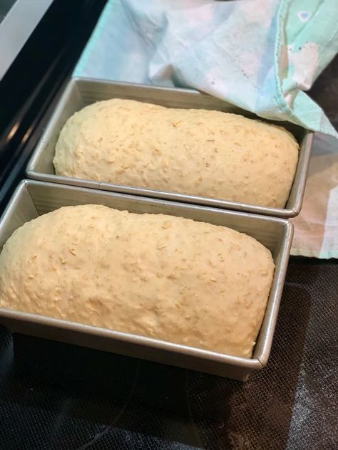 Oatmeal Honey Bread, Honey Oat Bread Recipe, Honey Oatmeal Bread, Breadmaker Recipes, Oatmeal Bread Recipe, Honey Oat Bread, Oat Bread, Honey Bread, Oatmeal Bread