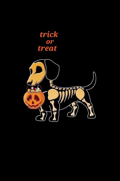 Spooky Dog Wallpaper, Dog Halloween Wallpaper Iphone, Dachshund Fall Wallpaper, Halloween Dachshund Wallpaper, Halloween Dog Drawing, Skeleton With Dog, Halloween Backgrounds Aesthetic, Cute Halloween Backgrounds, Halloween Backgrounds Wallpapers