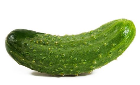 Pickle | its a beautiful picture...the most beautiful... Pickle Picture, Pickling Salt, Big Dill, Pickling Spice, Refrigerator Pickles, Growing Cucumbers, Video Call With Boyfriend Screen Photo, Farmer Wife, Dill Pickle