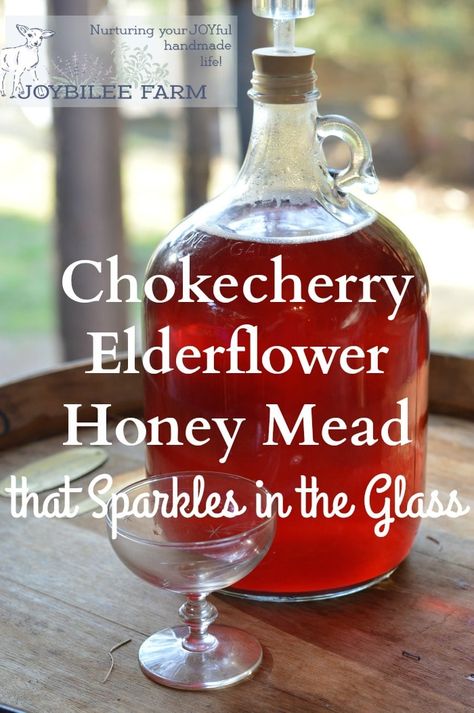 Mead Flavors, Honey Mead Recipe, Mead Brewing, Honey Mead, Mead Wine, Mead Recipe, Old Timers, Preserving Herbs, Brewing Recipes