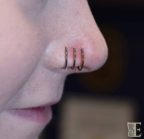 Tribal Expression on Instagram: “No words needed:D This lovely lady had come into Tribal a while back for a single nose piercing, then she added another and this week she…” Triple Nostril Piercing, Triple Nose Piercing, Piercing Inspiration, Nostril Piercing, Face Piercings, Nose Rings, Nose Piercing, Nostril Hoop Ring, Piercings