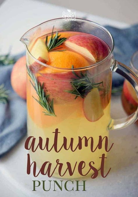 Autumn Harvest Punch Recipe (Mocktail) via @fivespotgrnvlvng #mocktail #drinks #drinkrecipe #autumn #fall Mocktail Thanksgiving, Autumn Harvest Punch, Fruit Thanksgiving, Punch Mocktail, Harvest Punch, Fall Punch Recipes, Thanksgiving Punch, Mocktail Drinks, Fresh Fruit Recipes