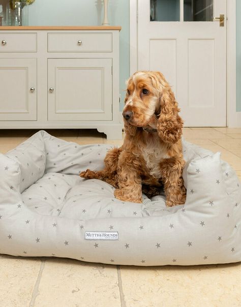 Boxy dog bed Comfort Grey, Country Prints, Airing Cupboard, Small Bed, Hound Dog, Modern Country, Dog Beds, How To Make Bed, Pet Beds