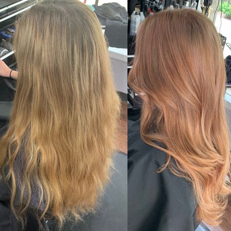 Beautiful rose gold transformation Dark Rose Gold Blonde Hair, Strawberry Blonde Transformation, Strawberry Blonde Hair Gloss, Blonde To Copper Before And After, Strawberry Bronze Hair, Rose Gold Strawberry Blonde Hair, Sunkissed Copper Hair, Copper Toner For Blonde Hair, Copper Rose Hair