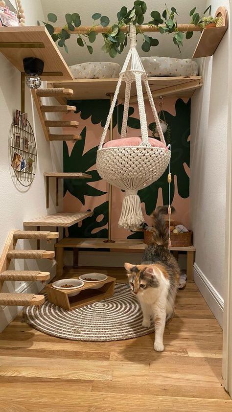 Cat Hotel Design Ideas, Foster Cat Room, Diy Cat Hammock, Pet Room, Cat Castle, Cat Hotel, Cat House Diy, Foster Cat, Dream's Cat