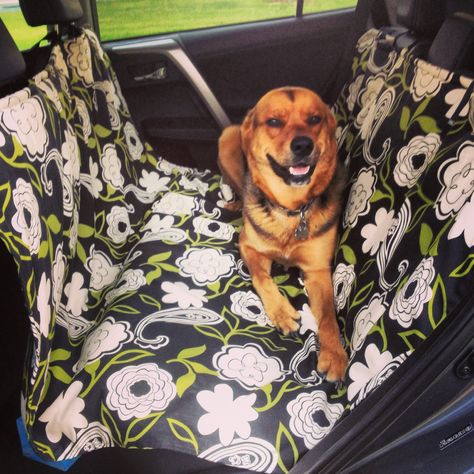 DIY dog car seat cover Dog Hammock For Car, Dog Car Accessories, Cars Accessories, Dog Hammock, Dog Seat Covers, Dog Car Seat, Dog Car Seat Cover, Pet Car Seat, Dog Car Seats