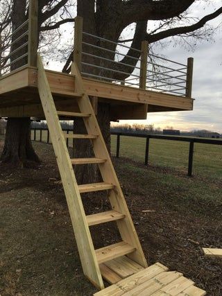 House Ladder, Tree House Interior, Contemporary Architecture Residential, Green Roof Building, Kids Backyard Playground, Wood Fence Design, Oregon House, Tree House Plans, Tree Fort