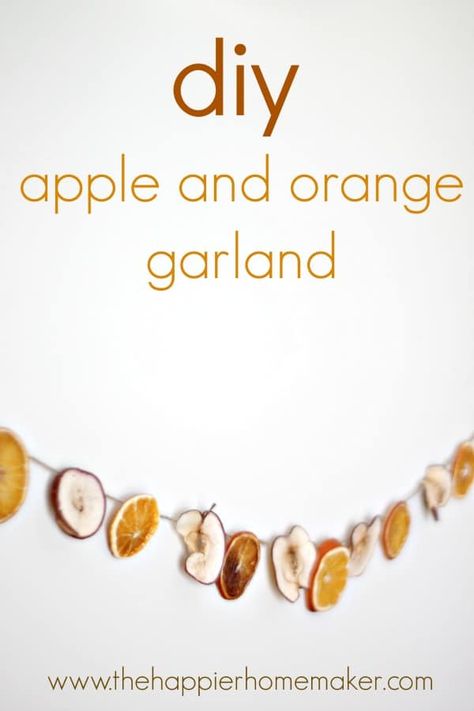 DIY Dried Apple and Orange Slice Garland Orange Slice Garland, Apple Garland, Diy Apple, Orange Slice, Dried Apples, Orange Garland, Diy Garland, Homemade Christmas Gifts, Orange Slices