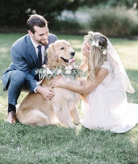 #wedding #bohowedding #goldenretriever #weddingdog #flowercrown #bohoweddingdog Dog Flower Crown Wedding, Batanes Wedding, Dog Wedding Outfits, Dog Garden, Flower Crown Wedding, Wedding 2024, Dog Flower, Dog Wedding, Wedding Florals